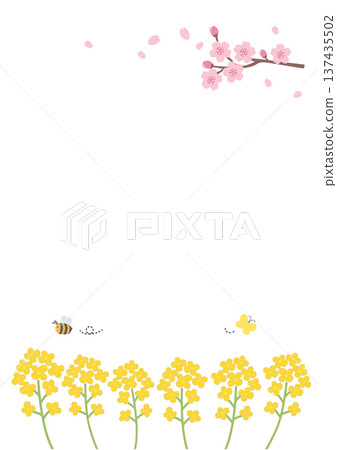Spring background illustration Spring banner Illustration of spring flowers, bees and butterflies Spring background illustration Spring banner Illustration of spring flowers, bees and butterflies 137435502