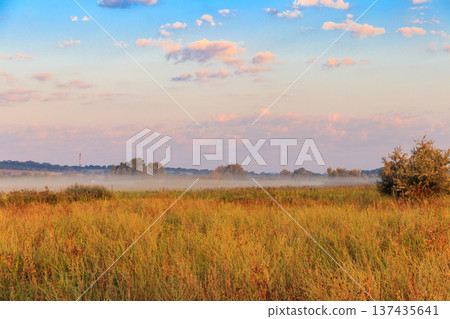Summer landscape with green misty meadow, trees and sky. Fog on the grassland Summer landscape with green misty meadow, trees and sky. Fog on the grassland 137435641
