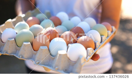 Person holding carton of fresh organic farm eggs outdoors Person holding carton of fresh organic farm eggs outdoors 137436026