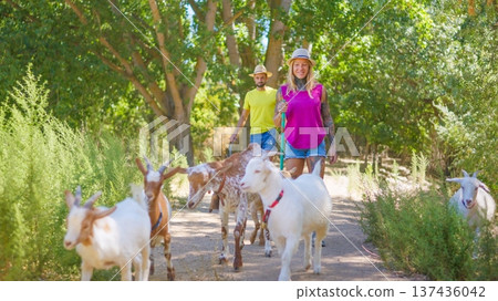 Couple herding goats in nature during summer day 137436042