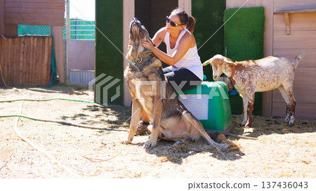 Woman caressing large dog with domestic goat nearby outdoors 137436043
