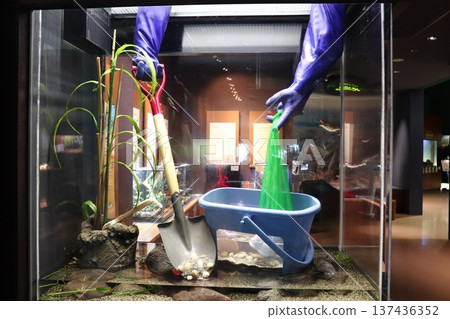 相模川科學博物館 相模原水族館 相模川科學博物館 相模原水族館 137436352