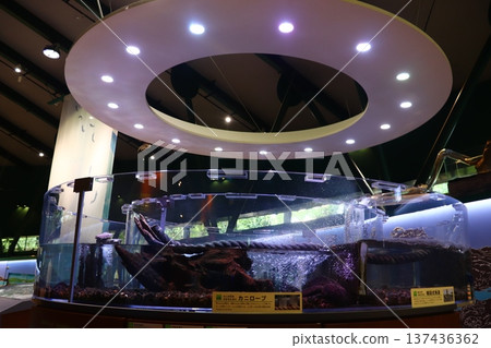 Sagami River Science Museum Aquarium Sagamihara Sagami River Science Museum Aquarium Sagamihara 137436362