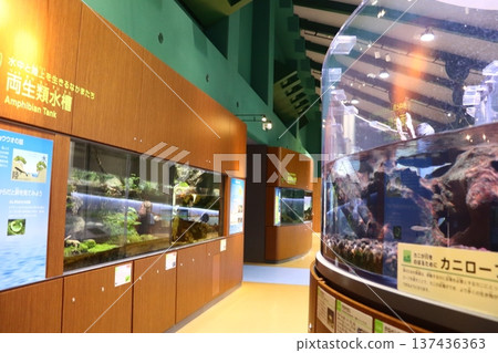 相模川科學博物館 相模原水族館 相模川科學博物館 相模原水族館 137436363