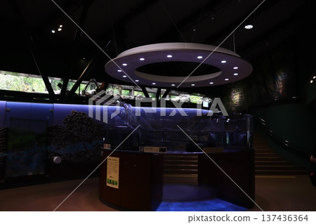 Sagami River Science Museum Aquarium Sagamihara 137436364
