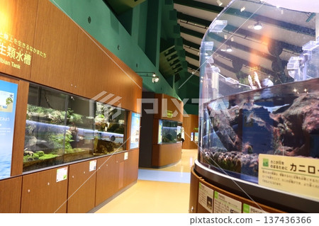 Sagami River Science Museum Aquarium Sagamihara 137436366