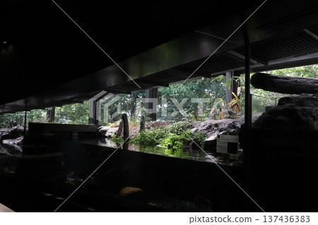 相模川科學博物館 相模原水族館 137436383