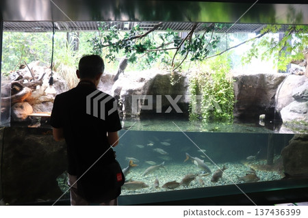 相模川科學博物館 相模原水族館 137436399