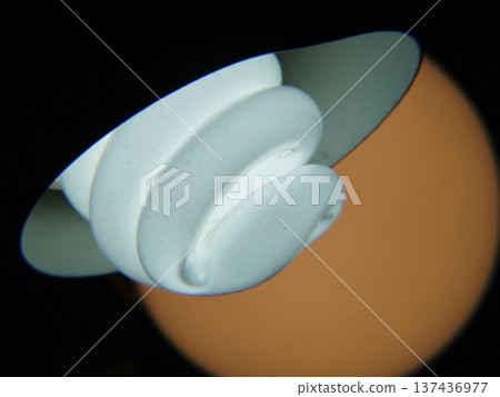 spiral fluorescent lamp 137436977