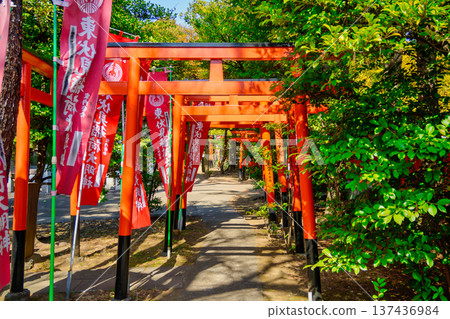 東京都、西東京市、東伏見稻荷神社、大塚舞裡、千本鳥居公園 東京都、西東京市、東伏見稻荷神社、大塚舞裡、千本鳥居公園 137436984