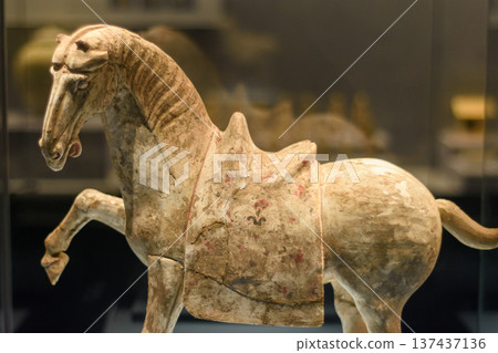 Tang Dynasty clay pottery statue of a horse exhibited in Luoyang Museum in Henan province, China Tang Dynasty clay pottery statue of a horse exhibited in Luoyang Museum in Henan province, China 137437136