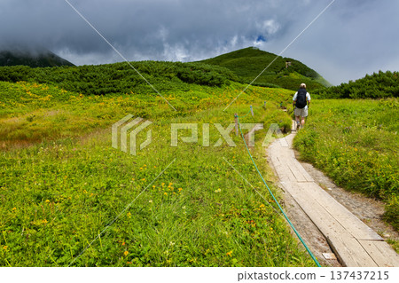 Climbers walking along the ridge of Mount Yumori in the Northern Alps Climbers walking along the ridge of Mount Yumori in the Northern Alps 137437215