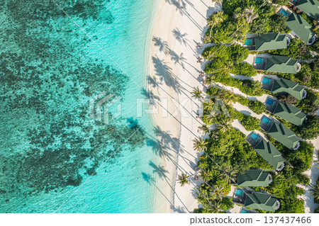 Aerial tropical beach with palm tree shadows turquoise ocean shore pristine tranquil nature summer exotic vacation wallpaper paradise travel destination Aerial tropical beach with palm tree shadows turquoise ocean shore pristine tranquil nature summer exotic vacation wallpaper paradise travel destination 137437466