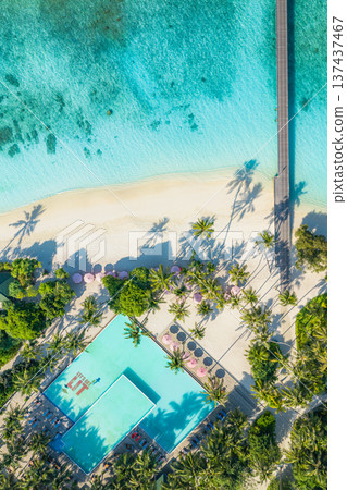 Picturesque aerial view of tropical beach with palm tree shadows pier resort swimming pool turquoise ocean shore pristine tranquil nature exotic summer vacation Picturesque aerial view of tropical beach with palm tree shadows pier resort swimming pool turquoise ocean shore pristine tranquil nature exotic summer vacation 137437467