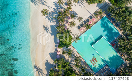 Aerial tropical beach with palm tree shadows pier and resort swimming pool turquoise ocean shore pristine tranquil nature summer exotic vacation wallpaper Aerial tropical beach with palm tree shadows pier and resort swimming pool turquoise ocean shore pristine tranquil nature summer exotic vacation wallpaper 137437468