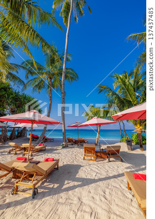 Pristine tropical resort beach umbrellas beneath palm trees calm turquoise sea idyllic island relaxation sunny paradise scenery Pristine tropical resort beach umbrellas beneath palm trees calm turquoise sea idyllic island relaxation sunny paradise scenery 137437485