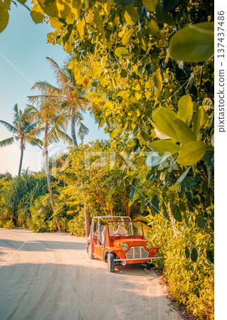 Summer beach buggy driving on tropical dirt road with palm trees and lush forest fun outdoor island adventure Summer beach buggy driving on tropical dirt road with palm trees and lush forest fun outdoor island adventure 137437486