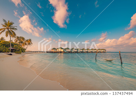 Majestic Maldives sunset beach shore water villas palm trees calm ocean hammock tropical vacation summer tourism scenic wallpaper paradise travel destination Majestic Maldives sunset beach shore water villas palm trees calm ocean hammock tropical vacation summer tourism scenic wallpaper paradise travel destination 137437494