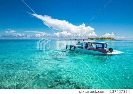 Speedboat cruising in tropical ocean bay turquoise water exotic travel destination summer vacation paradise adventure tropical getaway Speedboat cruising in tropical ocean bay turquoise water exotic travel destination summer vacation paradise adventure tropical getaway 137437524