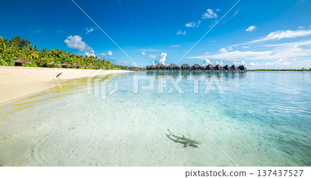 Maldives gorgeous panoramic view with overwater villas turquoise ocean bay tropical beach shore shark summer vacation exotic paradise travel destination Maldives gorgeous panoramic view with overwater villas turquoise ocean bay tropical beach shore shark summer vacation exotic paradise travel destination 137437527