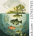 Fresh water ecosystem illustration representing balance and life 137437935
