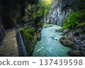Wooden tourist footbridge in the Aare gorge, Meiringen, Switzerland 137439598