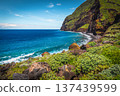 Picturesque seaside steep green slopes in Madeira Island, Portugal 137439599