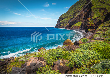 Picturesque seaside steep green slopes in Madeira Island, Portugal 137439599