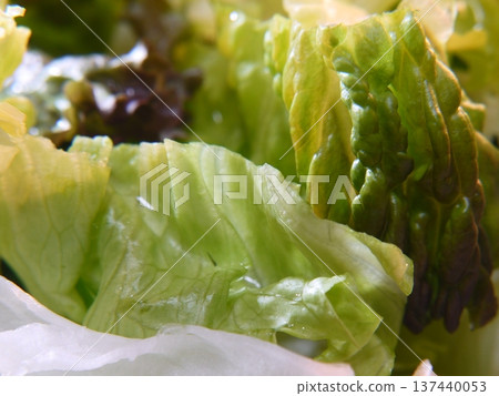 蔬菜沙拉 蔬菜沙拉 137440053