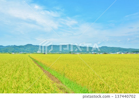 國家淪陷 137440702