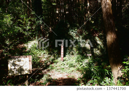 Sadayama and Shirao Shrine Mansion Site, Tosashimizu City, Kochi Prefecture 137441700
