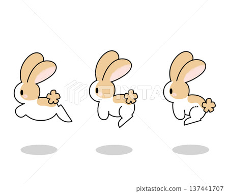 Jumping Rabbit 137441707