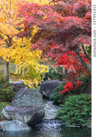 秋季日式庭園景色 秋季日式庭園景色 137441915