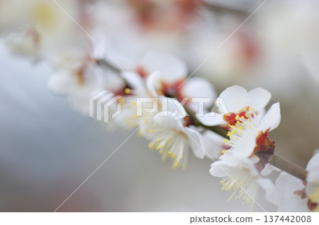 某天看到的梅林公園 某天看到的梅林公園 137442008