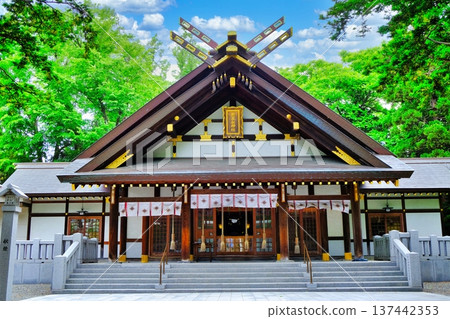 新琴通神社景色 新琴通神社景色 137442353
