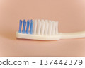 Toothbrush with peach and white bristles isolated on a blue background. Minimalist studio shot of a manual toothbrush head for daily dental hygiene. 137442379