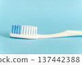 Toothbrush with blue and white bristles isolated on a blue background. Minimalist studio shot of a manual toothbrush head for daily dental hygiene. 137442388