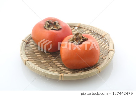 進入一隻猴子 進入一隻猴子 137442479