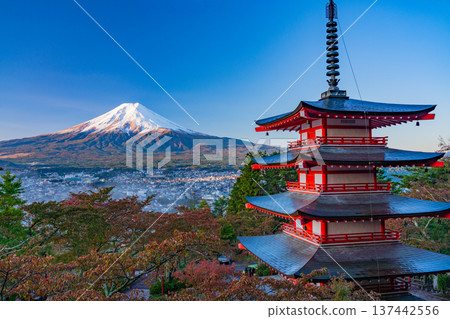 [Yamanashi Prefecture] Beautiful autumn leaves at Arakurayama Sengen Park, and freshly snow-capped Mt. Fuji beyond the Chureito Pagoda 137442556