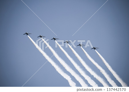 藍色脈衝號梯隊編隊 137442570