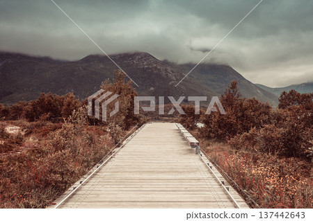Walkway and fjord landscape, Lofoten Norway Walkway and fjord landscape, Lofoten Norway 137442643