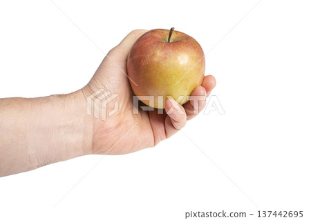 an apple in hand an apple in hand 137442695