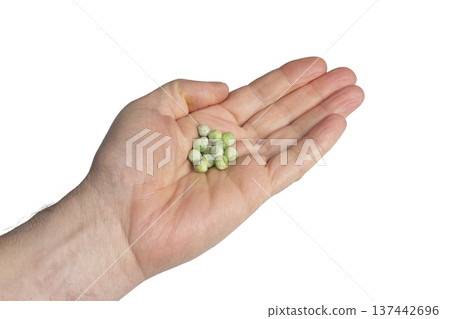 some peas in hand some peas in hand 137442696