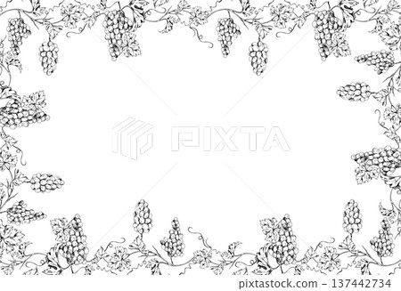 Grape vine frame formed by grape clusters, leaves and curling tendrils arranged in a decorative border. Isolated ink vector illustration. Hand drawn for wine labels, invitations, posters, branding. Grape vine frame formed by grape clusters, leaves and curling tendrils arranged in a decorative border. Isolated ink vector illustration. Hand drawn for wine labels, invitations, posters, branding. 137442734