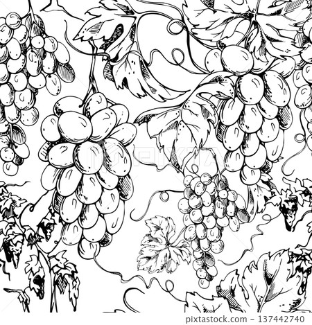Seamless grapevine pattern with repeating grape clusters, leaves and curling tendrils. Ink vector illustration hand drawn for textiles, wrapping paper, wine wallpaper, table linens, tea towels. Seamless grapevine pattern with repeating grape clusters, leaves and curling tendrils. Ink vector illustration hand drawn for textiles, wrapping paper, wine wallpaper, table linens, tea towels. 137442740