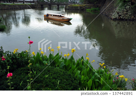 松江城護城河中盛開的繡球花 松江城護城河中盛開的繡球花 137442891