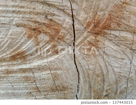 Wooden texture background cut down the middle wood texture Wooden texture background cut down the middle wood texture 137443015