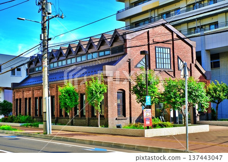 View of the brick mansion View of the brick mansion 137443047