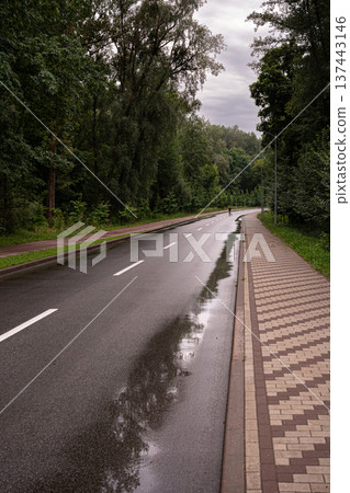 Empty Wet Road Through Forest After Rain Empty Wet Road Through Forest After Rain 137443146