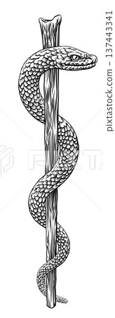 Rod of Asclepius Caduceus Medical Doctor Symbol 137443341